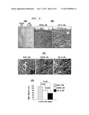 WOUND HEALING COMPOSITIONS AND TREATMENTS diagram and image