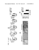 WOUND HEALING COMPOSITIONS AND TREATMENTS diagram and image