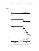 Chromosomal Insertion of Gfp Into Bacteria For Quality Control diagram and image