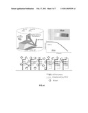 METHOD AND SYSTEM FOR DETECTION OF A SELECTED TYPE OF MOLECULES IN A SAMPLE diagram and image