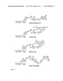 DNA SEQUENCE WITH NON-FLUORESCENT NUCLEOTIDE REVERSIBLE TERMINATORS AND CLEAVABLE LABEL MODIFIED NUCLEOTIDE TERMINATORS diagram and image