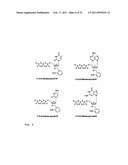 DNA SEQUENCE WITH NON-FLUORESCENT NUCLEOTIDE REVERSIBLE TERMINATORS AND CLEAVABLE LABEL MODIFIED NUCLEOTIDE TERMINATORS diagram and image