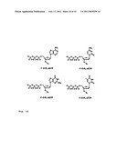 DNA SEQUENCE WITH NON-FLUORESCENT NUCLEOTIDE REVERSIBLE TERMINATORS AND CLEAVABLE LABEL MODIFIED NUCLEOTIDE TERMINATORS diagram and image