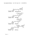 DNA SEQUENCE WITH NON-FLUORESCENT NUCLEOTIDE REVERSIBLE TERMINATORS AND CLEAVABLE LABEL MODIFIED NUCLEOTIDE TERMINATORS diagram and image