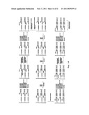 DNA SEQUENCE WITH NON-FLUORESCENT NUCLEOTIDE REVERSIBLE TERMINATORS AND CLEAVABLE LABEL MODIFIED NUCLEOTIDE TERMINATORS diagram and image