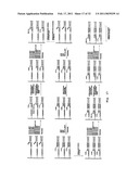 DNA SEQUENCE WITH NON-FLUORESCENT NUCLEOTIDE REVERSIBLE TERMINATORS AND CLEAVABLE LABEL MODIFIED NUCLEOTIDE TERMINATORS diagram and image