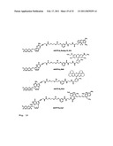 DNA SEQUENCE WITH NON-FLUORESCENT NUCLEOTIDE REVERSIBLE TERMINATORS AND CLEAVABLE LABEL MODIFIED NUCLEOTIDE TERMINATORS diagram and image