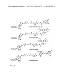 DNA SEQUENCE WITH NON-FLUORESCENT NUCLEOTIDE REVERSIBLE TERMINATORS AND CLEAVABLE LABEL MODIFIED NUCLEOTIDE TERMINATORS diagram and image