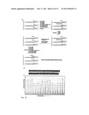 DNA SEQUENCE WITH NON-FLUORESCENT NUCLEOTIDE REVERSIBLE TERMINATORS AND CLEAVABLE LABEL MODIFIED NUCLEOTIDE TERMINATORS diagram and image