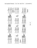 DNA SEQUENCE WITH NON-FLUORESCENT NUCLEOTIDE REVERSIBLE TERMINATORS AND CLEAVABLE LABEL MODIFIED NUCLEOTIDE TERMINATORS diagram and image