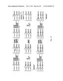 DNA SEQUENCE WITH NON-FLUORESCENT NUCLEOTIDE REVERSIBLE TERMINATORS AND CLEAVABLE LABEL MODIFIED NUCLEOTIDE TERMINATORS diagram and image