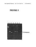 Method of detecting tumor-associated DNA in plasma or serum diagram and image