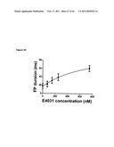 SYSTEM AND METHOD FOR MONITORING CARDIOMYOCYTE BEATING, VIABILITY AND MORPHOLOGY AND FOR SCREENING FOR PHARMACOLOGICAL AGENTS WHICH MAY INDUCE CARDIOTOXICITY OR MODULATE CARDIOMYOCYTE FUNCTION diagram and image