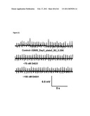 SYSTEM AND METHOD FOR MONITORING CARDIOMYOCYTE BEATING, VIABILITY AND MORPHOLOGY AND FOR SCREENING FOR PHARMACOLOGICAL AGENTS WHICH MAY INDUCE CARDIOTOXICITY OR MODULATE CARDIOMYOCYTE FUNCTION diagram and image