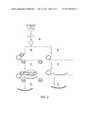 Methods to Generate Oligonucleotide Pools and Enrich Target Nucleic Acid Sequences diagram and image