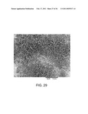 PROCESSING BIOMASS diagram and image