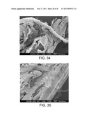 PROCESSING BIOMASS diagram and image