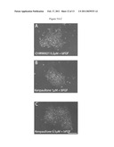 DEFINED CONDITIONS FOR HUMAN EMBRYONIC STEM CELL CULTURE AND PASSAGE diagram and image
