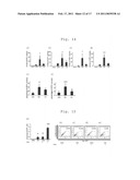 METHOD OF EFFICIENTLY ESTABLISHING INDUCED PLURIPOTENT STEM CELLS diagram and image
