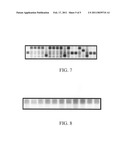 APPARATUS AND METHODS FOR APPLICATIONS OF GENOMIC MICROARRAYS IN SCREENING, SURVEILLANCE AND DIAGNOSTICS diagram and image