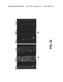 METHODS AND SYSTEMS FOR DETECTING AND/OR SORTING TARGETS diagram and image