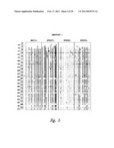 METHODS AND NUCLEIC ACIDS FOR THE ANALYSES OF CELLULAR PROLIFERATIVE DISORDERS diagram and image