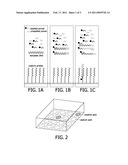 DEVICE AND METHOD FOR PARALLEL QUANTITATIVE ANALYSIS OF MULTIPLE NUCLEIC ACIDS diagram and image