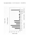 siRNA targeting connective tissue growth factor (CTGF) diagram and image