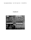 INHIBITORS OF PROTEIN KINASE C ISOFORMS AND USES THEREOF diagram and image