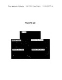 INHIBITORS OF PROTEIN KINASE C ISOFORMS AND USES THEREOF diagram and image