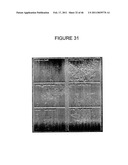 INHIBITORS OF PROTEIN KINASE C ISOFORMS AND USES THEREOF diagram and image