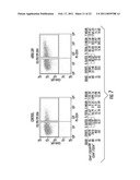 COMPOSITIONS, METHODS AND KITS FOR DETECTING AND TREATING CANCER diagram and image