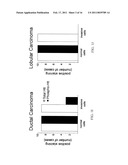 Use of Huntingtin Protein for the Diagnosis and the Treatment of Cancer diagram and image