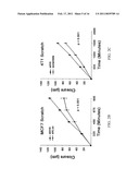 Use of Huntingtin Protein for the Diagnosis and the Treatment of Cancer diagram and image