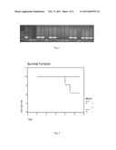 Application of ginsenoside Rb1 in preparing medicaments for treating dilated cardiomyopathy diagram and image