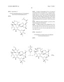 2 -O,3 -N-BRIDGED MACROLIDES diagram and image