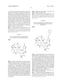 2 -O,3 -N-BRIDGED MACROLIDES diagram and image