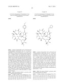 2 -O,3 -N-BRIDGED MACROLIDES diagram and image