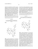 2 -O,3 -N-BRIDGED MACROLIDES diagram and image