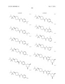 NPY Y5 ANTAGONIST diagram and image