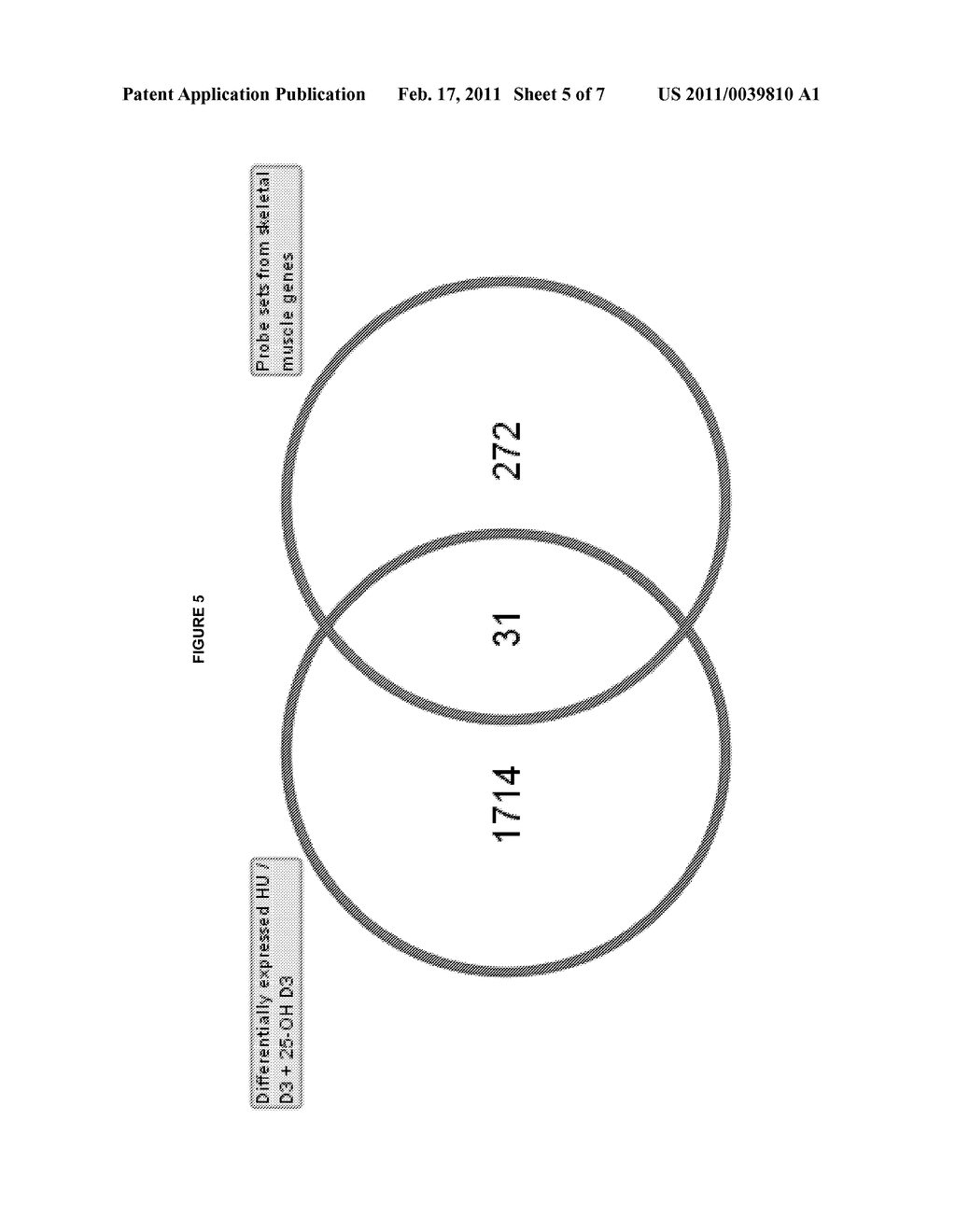 USE OF 25-HYDROXY-VITAMIN D3 TO AFFECT HUMAN MUSCLE PHYSIOLOGY - diagram, schematic, and image 06