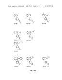 SUBSTITUTED PYRAZOLO[1,5-a] PYRIDINE COMPOUNDS HAVING MULTI-TARGET ACTIVITY diagram and image