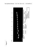 MODIFIED RNAI POLYNUCLEOTIDES AND USES THEREOF diagram and image
