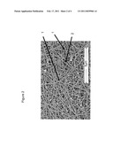 Expandable Functional TFE Copolymer Fine Powder, the Expanded Functional Products Obtained Therefrom and Reaction of the Expanded Products diagram and image