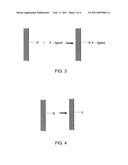 Expandable Functional TFE Copolymer Fine Powder, the Expanded Functional Products Obtained Therefrom and Reaction of the Expanded Products diagram and image