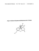 MONO AND DI-SUBSTITUTED OXYCODONE COMPOUNDS AND COMPOSITIONS diagram and image