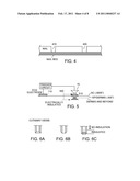 DRILL DEVICE AND METHOD FOR FORMING MICROCONDUITS diagram and image