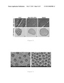 BIOCOMPATIBLE IMPLANT diagram and image