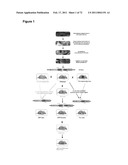 Animal model, and products and methods useful for the production thereof diagram and image