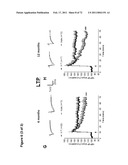 Animal model, and products and methods useful for the production thereof diagram and image